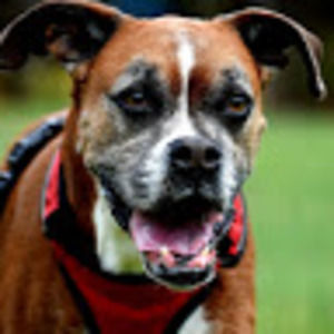 Meet your Posher, Katrina